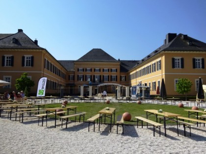 Фото: Gutsschänke Schloss Johannisberg